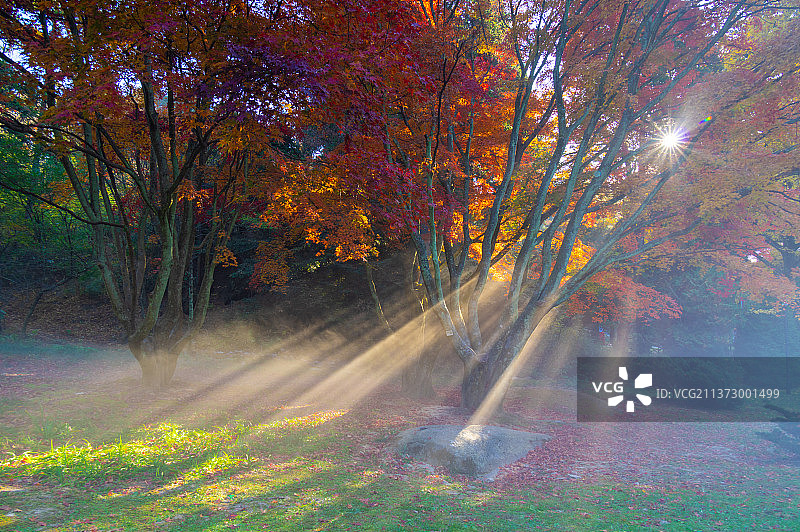 江西九江庐山地质公园深秋风光图片素材