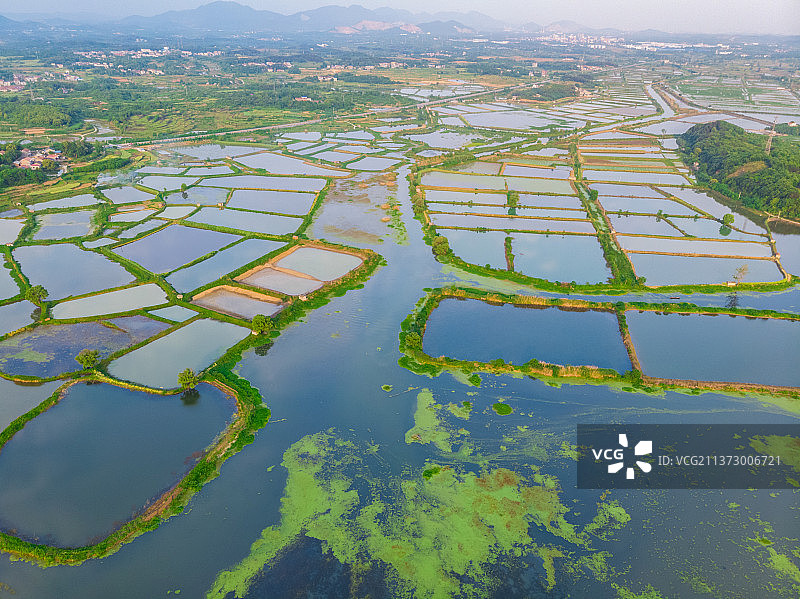 湖北黄石保安湖国家湿地公园航拍风光图片素材