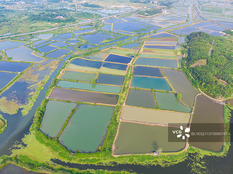 湖北黄石保安湖国家湿地公园航拍风光图片素材