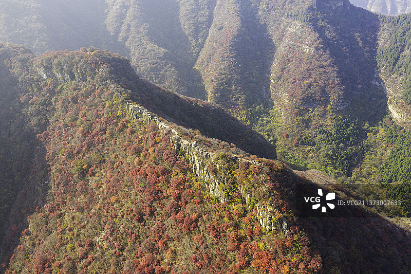 山东青州红叶图片素材