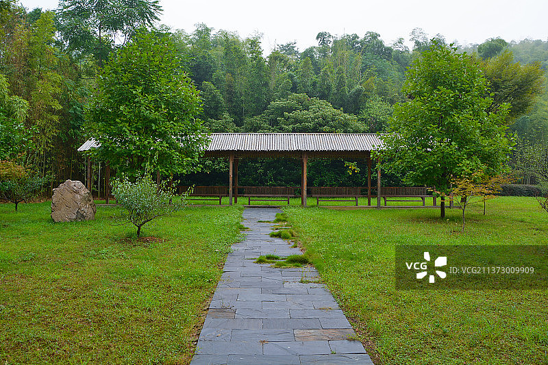 江苏宜兴竹海风景区夏日风光图片素材