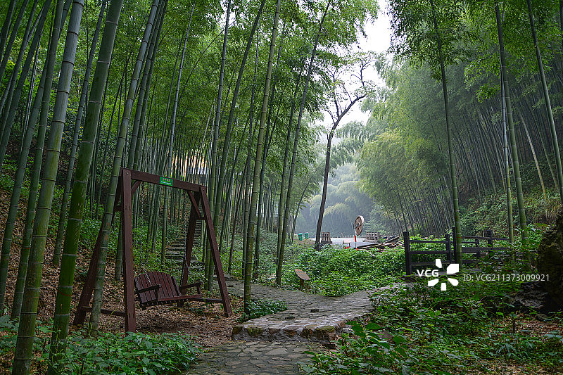 江苏宜兴竹海风景区夏日风光图片素材