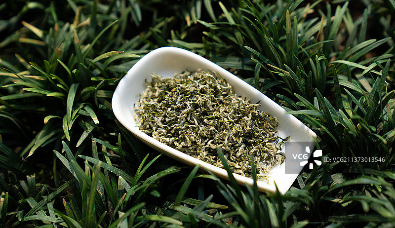 明前手工碧螺春图片素材