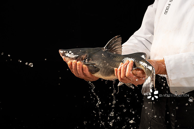 鱼火锅 生态鱼 现点现杀 传统美食 四川美食图片素材