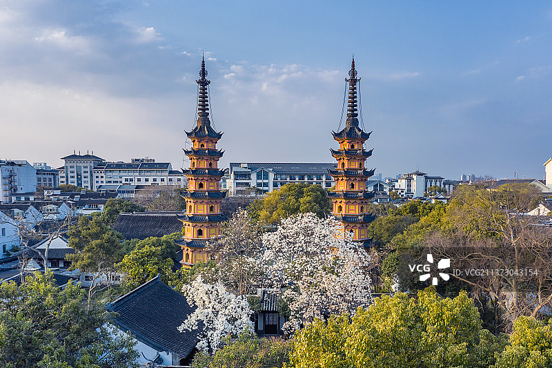 苏州姑苏区双塔的玉兰花开图片素材