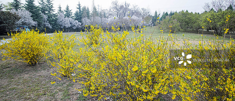 郑州李商隐公园，李商隐墓，公园，园林，春天图片素材