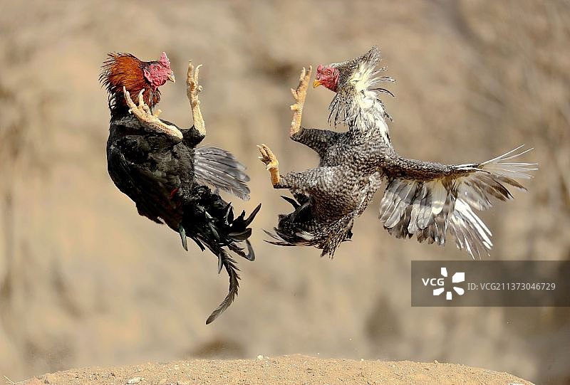 越战越勇图片素材