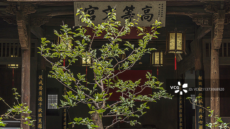 浙江杭州龙门古镇孙权故里图片素材