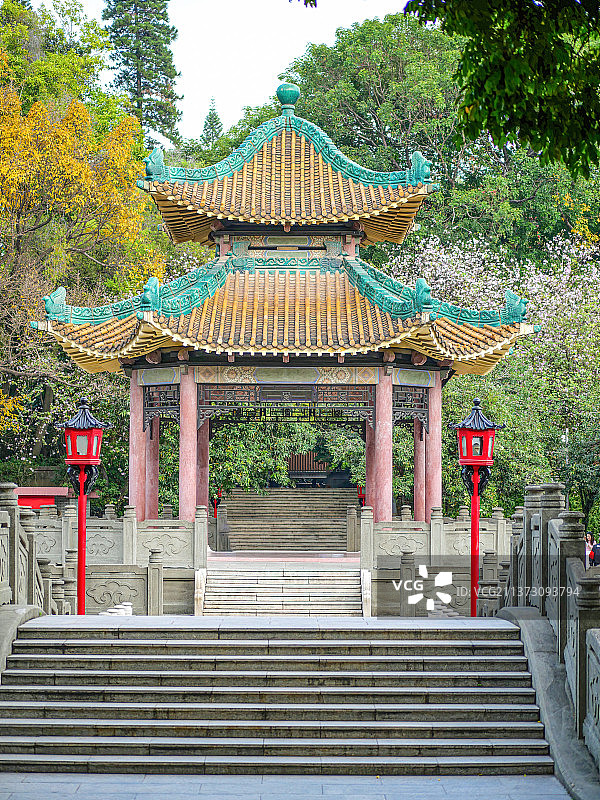 环境优美的八角亭图片素材