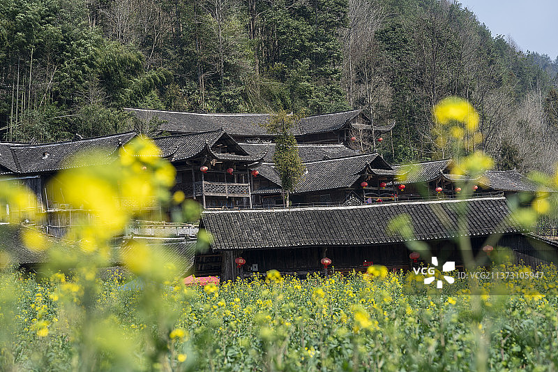 彭家寨土家族吊脚楼的春天图片素材