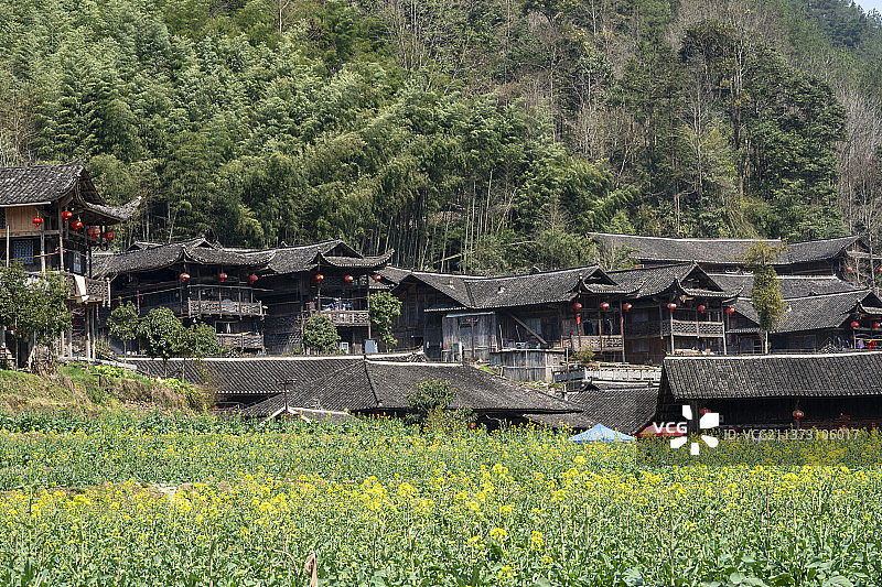 彭家寨土家族吊脚楼的春天图片素材