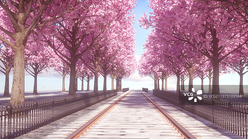 樱花场景图片素材