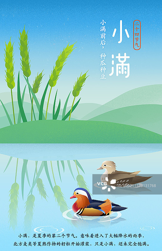 二十四节气海报小满科普图片素材