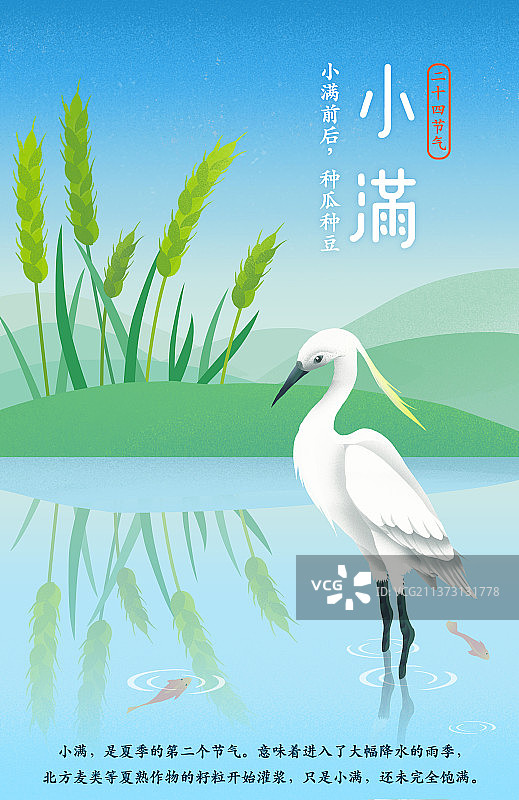 二十四节气海报小满科普图片素材