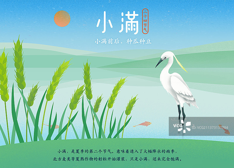 二十四节气海报小满科普图片素材