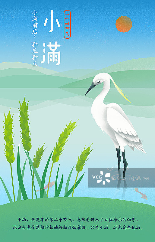 二十四节气海报小满科普图片素材