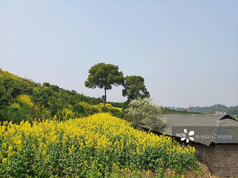 乡村春天美景图片素材