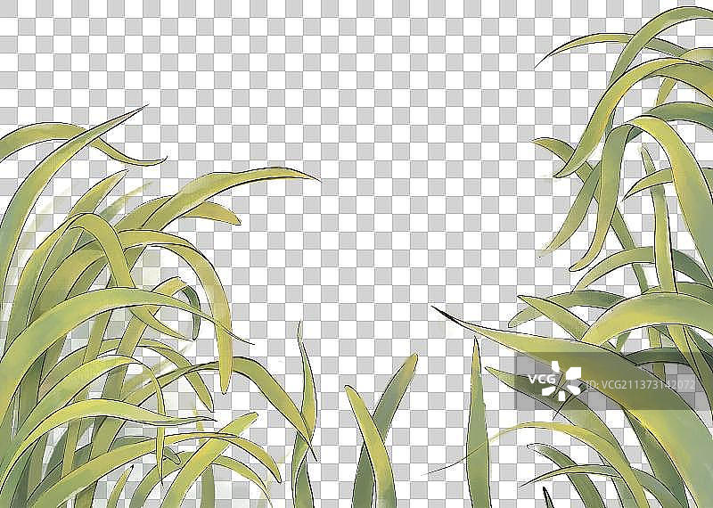 绿色叶子插画元素图片素材