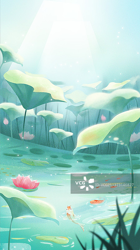 立夏大暑荷叶节气插画背景海报图片素材