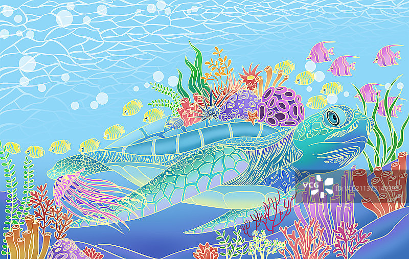 海龟在海底游泳图片素材