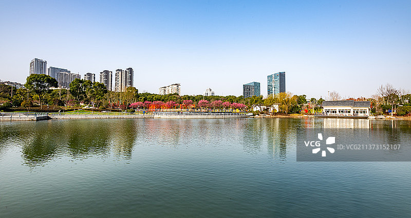 上海闵行莘庄梅园春色风光.莘庄梅园梅花节梅花自然景观图片素材