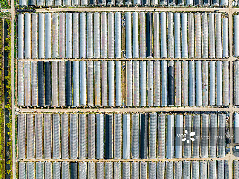 江苏苏州吴江国家现代农业示范区航拍图片素材