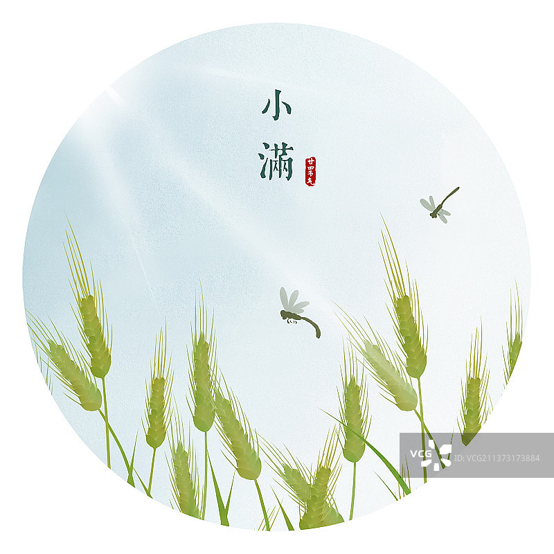 小满节气水彩圆形插画图片素材