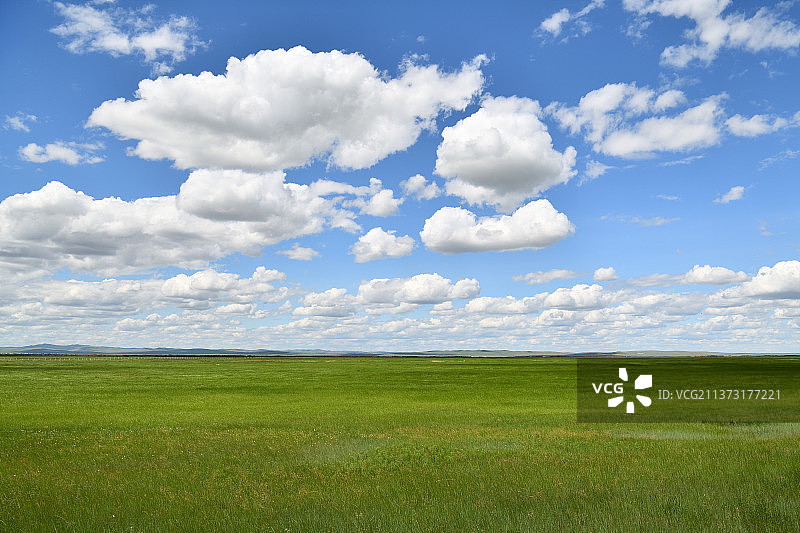 呼伦贝尔大草原图片素材