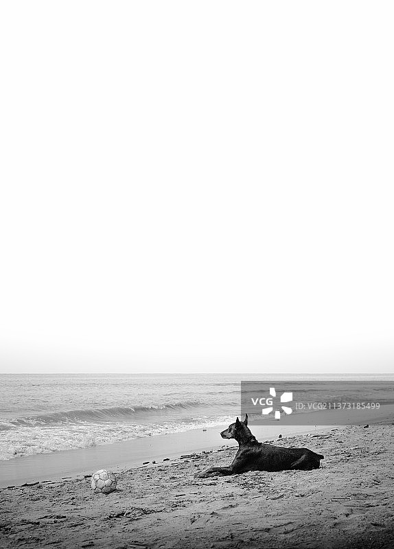 清澈的天空衬托着美丽的海景图片素材