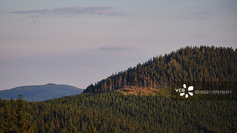 捷克共和国罗基特尼采山上卡科诺谢 IV 森林风光图片素材