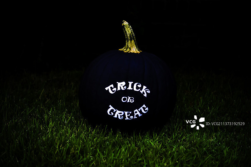 美国夜空下田野里的南瓜灯特写图片素材