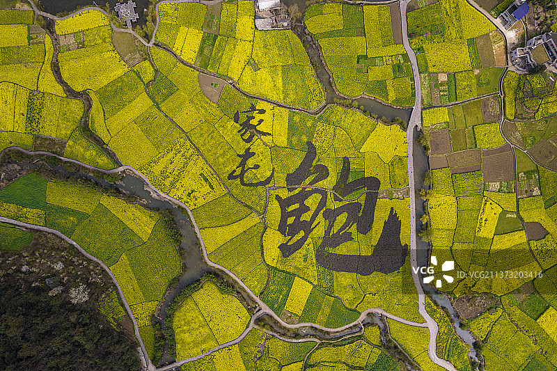 中国贵州省安顺市西秀区鲍家屯春季乡村油菜花开，田园风光美如画图片素材