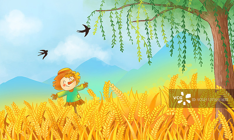 金黄色的麦田插画图片素材