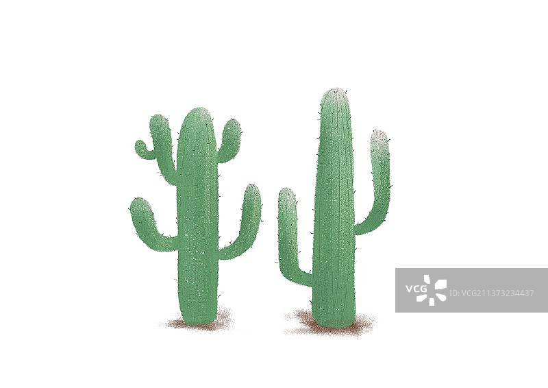 龙神木沙漠绿植图片素材