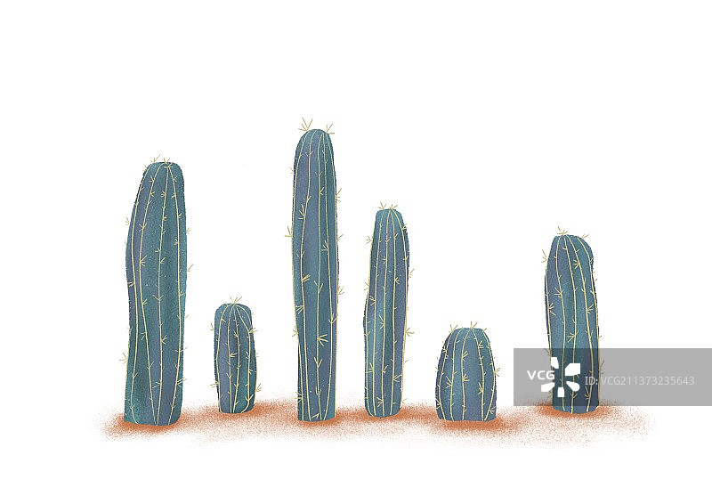 仙人柱之沙漠绿植图片素材