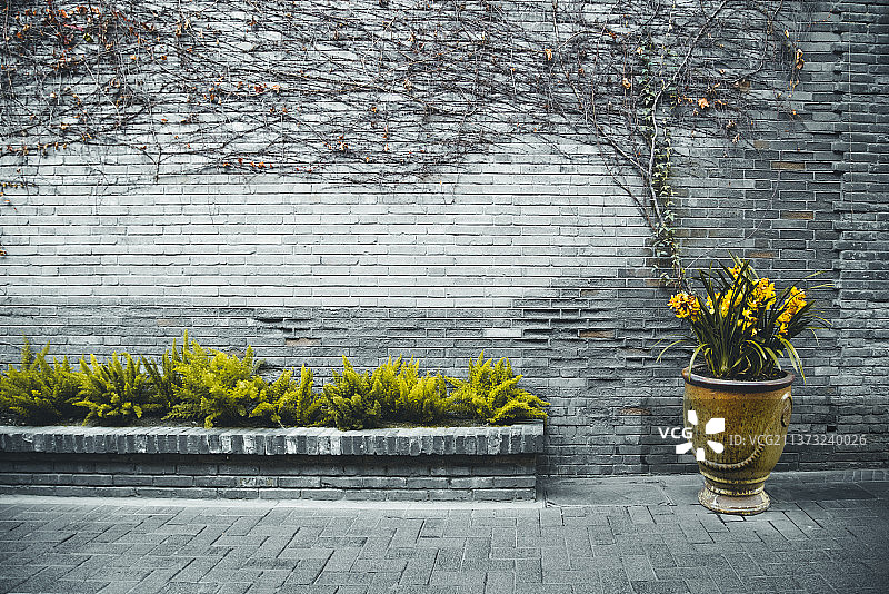 四川成都青羊区宽窄巷子图片素材