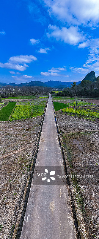 笔直的农村田园小路图片素材