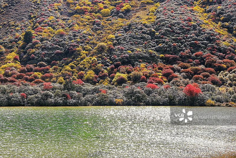 西藏丙察察昌拉山垭口下的心湖图片素材