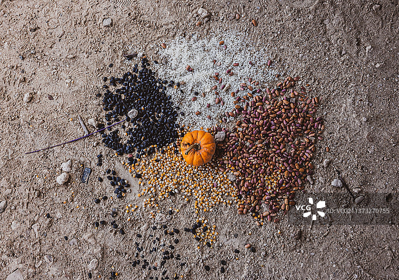 泥土地面上南瓜和种子的俯视照片图片素材
