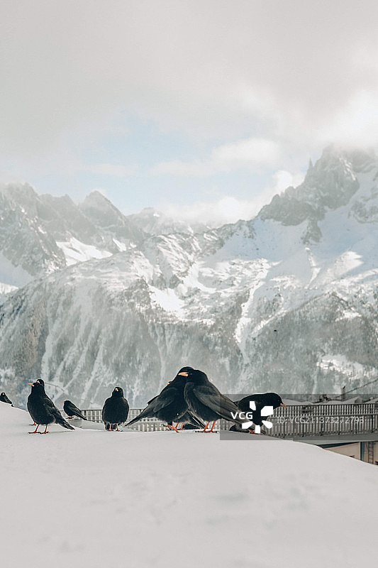 勃朗峰顶峰，雪山壮丽景色图片素材