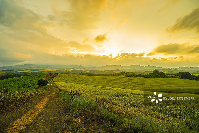 北海道的日落草甸景色图片素材