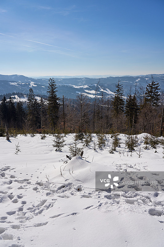 波兰比亚利克日什西里西亚贝斯基德山上的雪景 - 竖版图片素材