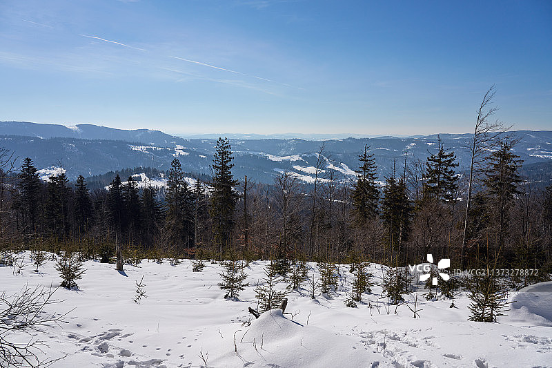 波兰西里西亚贝斯基德山欧洲比亚利克日兹的雪景图片素材