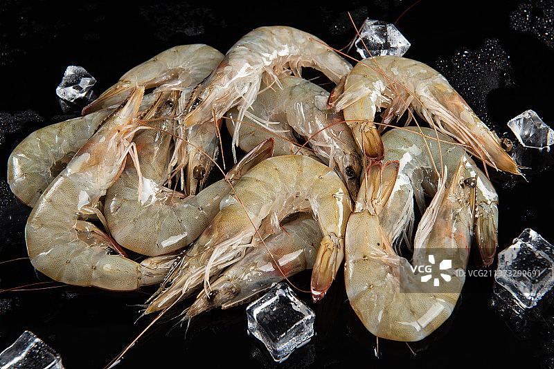 新鲜的白对虾图片素材