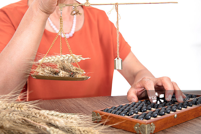 农业科学家正在使用秤和算珠估算当年新麦的产量图片素材