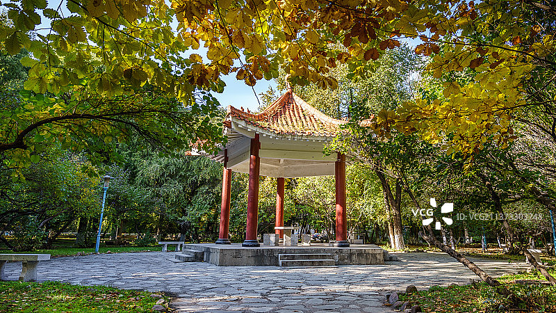 黑龙江大学秋季景色图片素材