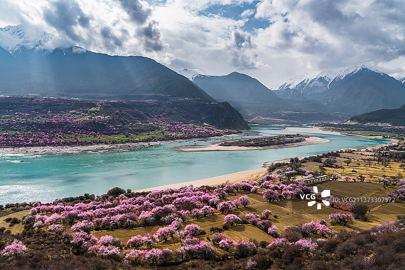 桃花季的雅鲁藏布江大峡谷图片素材