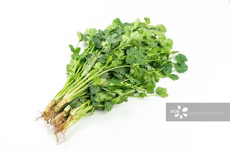 新鲜蔬菜香菜特写白色背景图片素材