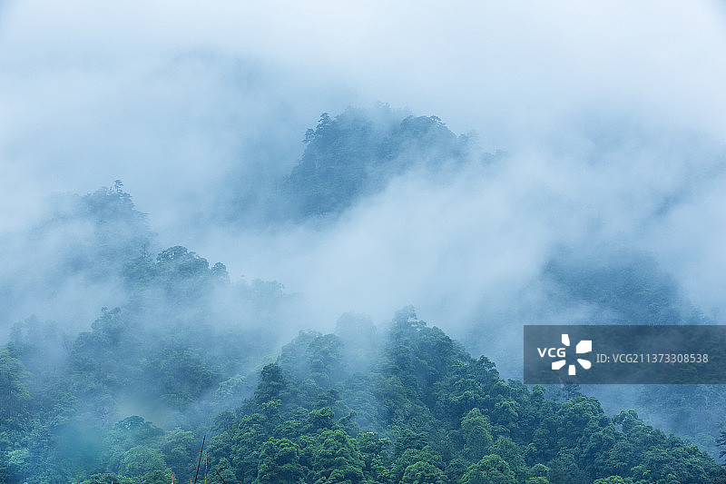 云漫山谷——江西    上饶市   三清山图片素材