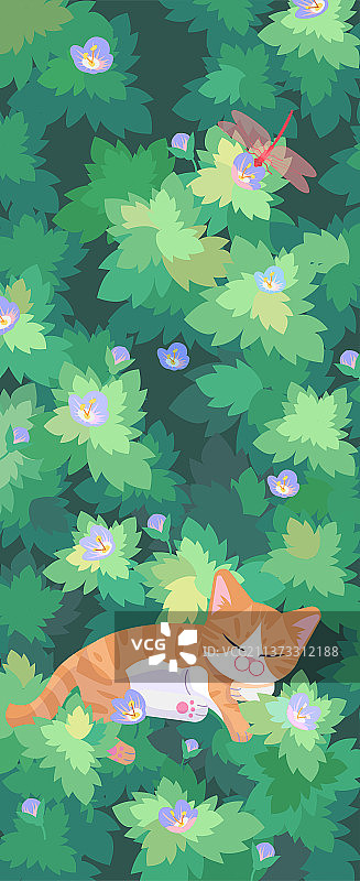 春夏猫咪在草丛花朵间睡觉蜻蜓落在花上竖版图片素材